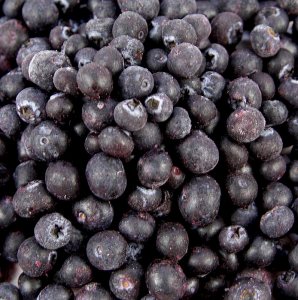 Heidelbeeren/Blaubeeren, wild, ganz, Dirafrost, TK, 2,5 kg