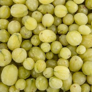 Stachelbeeren, ganz, TK, 2,5 kg