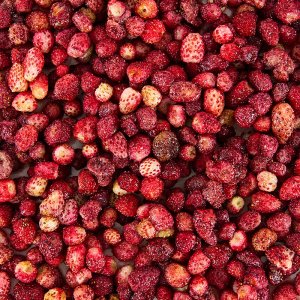 Walderdbeeren, ganz, TK, 1 kg